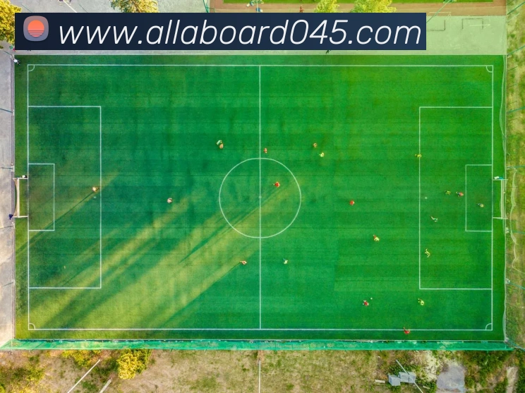 未来规划
